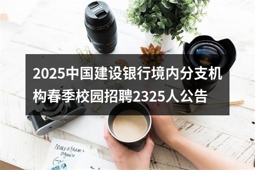 2025中国建设银行境内分支机构春季校园招聘2325人公告 图片