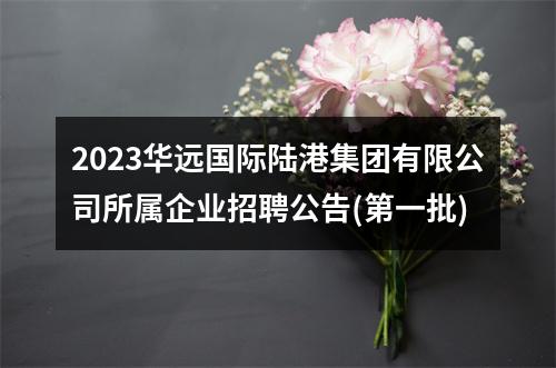 2023华远国际陆港集团有限公司所属企业招聘公告(第一批) 图片