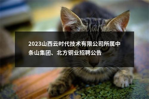 2023山西云时代技术有限公司所属中条山集团、北方铜业招聘公告 图片